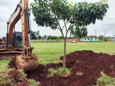 REMANEJAMENTO DE ÁRVORES PARA A CONSTRUÇÃO DA NOVA PRAÇA ESPORTIVA